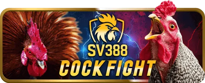 Hình ảnh minh họa các biện pháp bảo mật dữ liệu mạnh mẽ của shbet80 casino, bao gồm mã hóa SSL và tường lửa