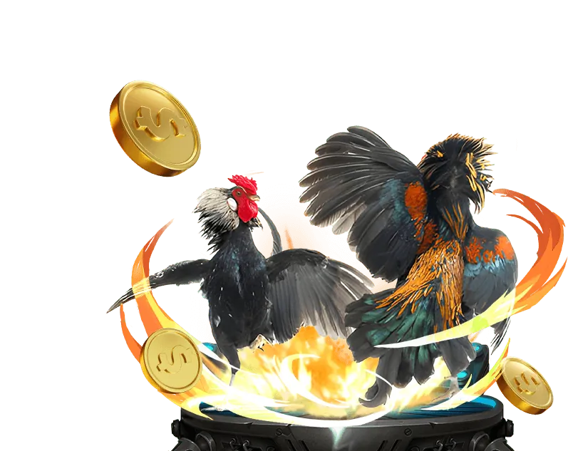 Tổng quan về nền tảng shbet80 casino